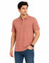 Structured Knit Polo In Crimson