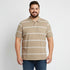 Stripped Polo T-shirt in Brown