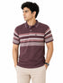 Burgandy Stripped Polo In Tee