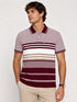 Men`s Stripped Polo In Maroon