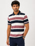 Fancy Stripped Polo